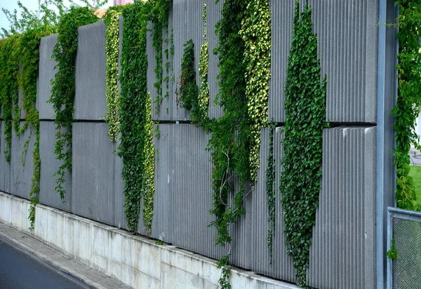 Dźwiękoszczelna Ściana Wykonana Betonowego Porowatego Materiału Żebrowanego Ogrodzenie Brązowych Bloków — Zdjęcie stockowe