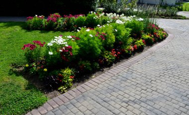 annual flowerbed in a formal park of rectangles in the lawn. perfect connected flower bed at the pedestrian zone with benches white and purple flowers very colorful, formal garden