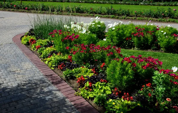 Annual Flowerbed Formal Park Rectangles Lawn Perfect Connected Flower Bed — Stock Photo, Image