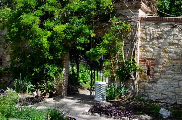 Retaining Walls Terraces Trellises Roses Rectangular Trimmed Hedge Boxwood Roof — Fotografia de Stock