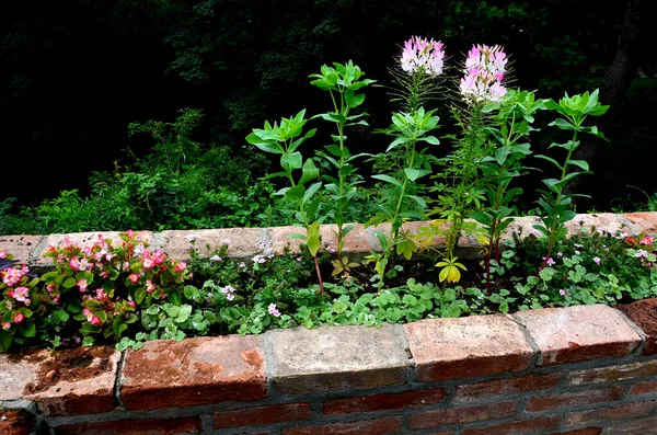 rugged backyard with brick walls and flower pots. alcoves for benches and a sink in the park behind the fence. garden terrace with stone, pumice stone, sedum plant,