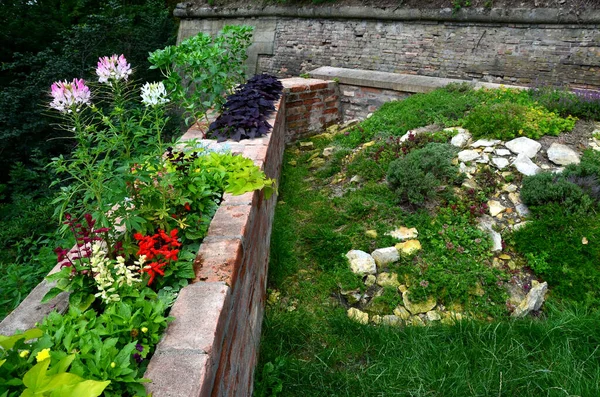 rugged backyard with brick walls and flower pots. alcoves for benches and a sink in the park behind the fence. garden terrace with stone, pumice stone, sedum plant,