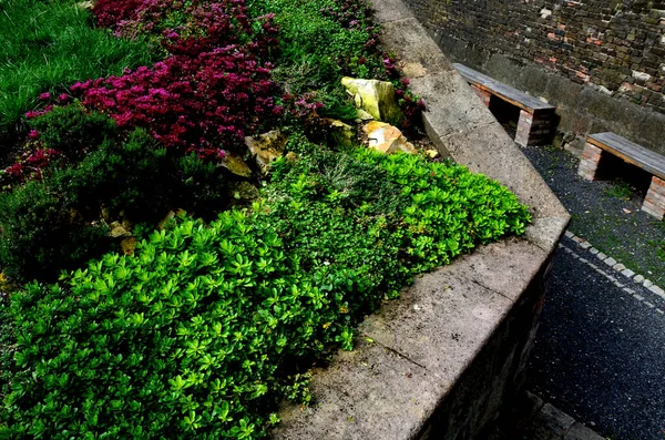 rugged backyard with brick walls and flower pots. alcoves for benches and a sink in the park behind the fence. garden terrace with stone, pumice stone, sedum plant,