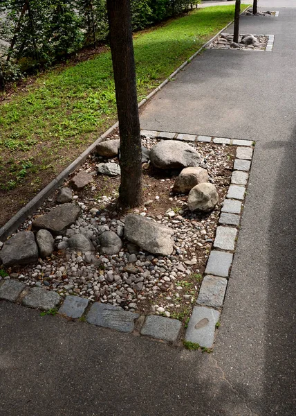 under the trees in the asphalt, rectangles are left out for tree growth. the area is covered with round stones that do not allow parking in this place, otherwise there is a risk of collision