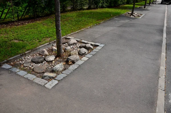 under the trees in the asphalt, rectangles are left out for tree growth. the area is covered with round stones that do not allow parking in this place, otherwise there is a risk of collision