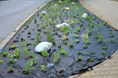 Süslü çiçek tarhı. Gri granitten yapılmış taşlar, şehir bahçesinde saman taşları, çayırlar, süs otları, havuzun kenarında çimenlik çakıl taşları.