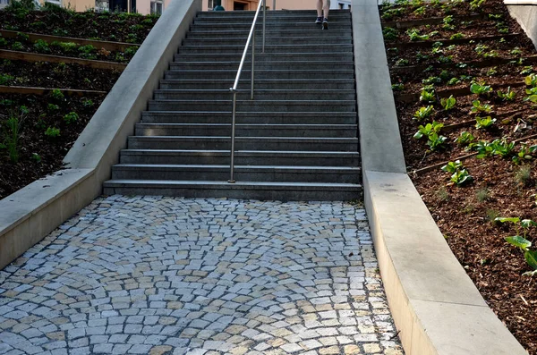 New Plantings Perennials Sloping Park Erosion Battening Retaining Walls Cast — Stockfoto