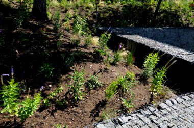 beds of newly planted flowers are planted and mulched with bark. bluebells and cypresses, paths strewn with marble dust twist through the park. supporting granite gabion basket wall, blooming, edge