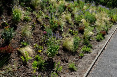 beds of newly planted flowers are planted and mulched with bark. bluebells and cypresses, paths strewn with marble dust twist through the park. supporting granite gabion basket wall, blooming, edge
