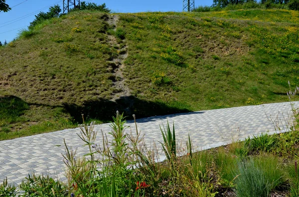 Grassy Slope Sidewalk Erosion Rut Shortcut Lawn Steep Hill Caused — 스톡 사진