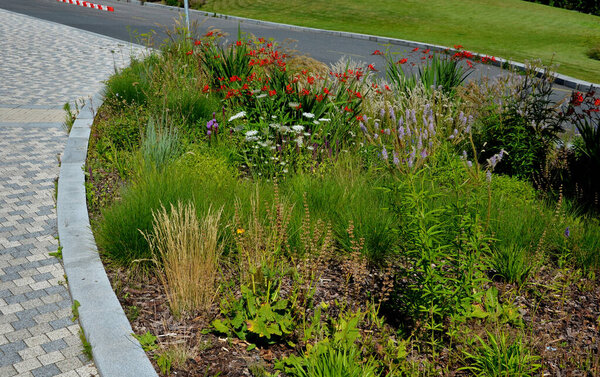 blooms tubular-bell-shaped, wide-open flowers of fiery red color with golden-orange underparts. The stems tilt slightly and create a relaxed impression