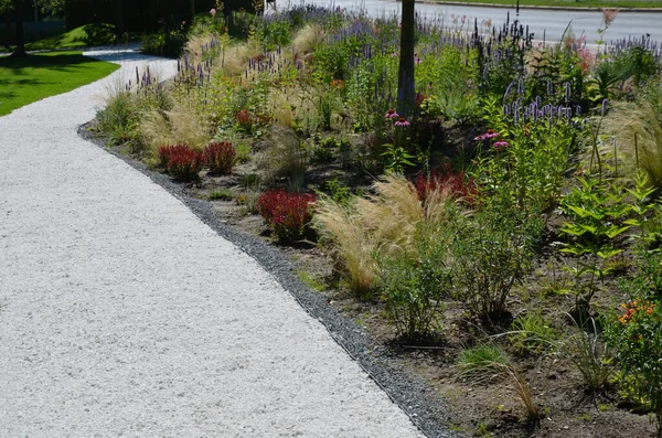 Beds Newly Planted Flowers Planted Mulched Bark Bluebells Cypresses Paths — стоковое фото