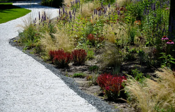 Beds Newly Planted Flowers Planted Mulched Bark Bluebells Cypresses Paths — Fotografia de Stock