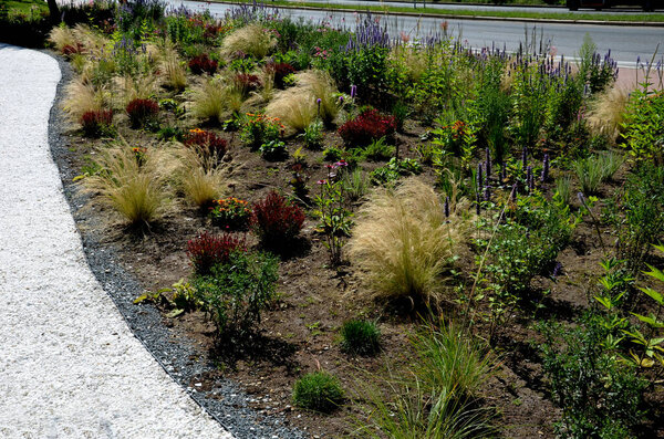 beds of newly planted flowers are planted and mulched with bark. bluebells and cypresses, paths strewn with marble dust twist through the park. supporting granite gabion basket wall, blooming, edge
