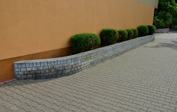 Front Apartment Building Raised Flower Bed Brick Wall Trimmed Evergreen — 스톡 사진