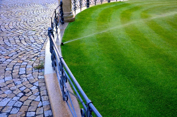 Watering Lawn Automatic Irrigation Pull Out Sprinklers Fresh Green Color — ストック写真