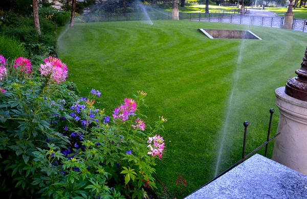 watering lawn automatic irrigation with pull-out sprinklers fresh green color black plastic nozzles extend and rotate in a circular rotation water granite cobblestone tiles and curb, fence, railings