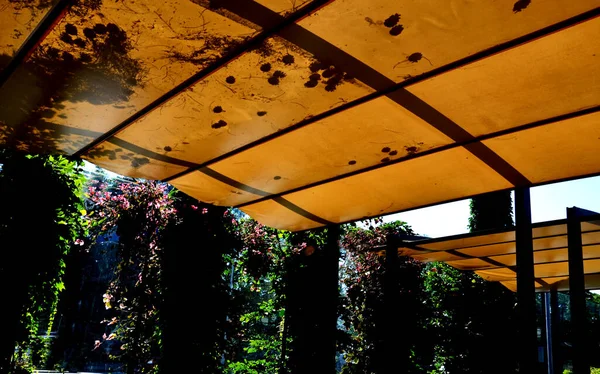 Beige Canvas Stretched Shading Sun Rain Terrace Ofrestaurant Playground Kindergarten — Stok Foto