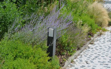 dry leaves of the grass flutter in the wind and look like hair. flower bed in the street at the deceleration bump.mulching gravel. modern gray facade with striped prairie flower bed in autumn, trunk