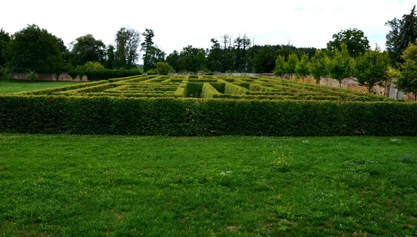 Outdoor Maze Kids Planted Hornbeams Row Hedge Plants Mulched Gray — Foto de Stock