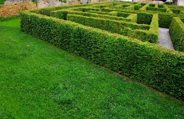 outdoor maze for kids. planted hornbeams in a row in hedge. plants are mulched. there is a gray gravel road between lines. in winter whole maze can be seen from a height. lawn in castle, lost, inside