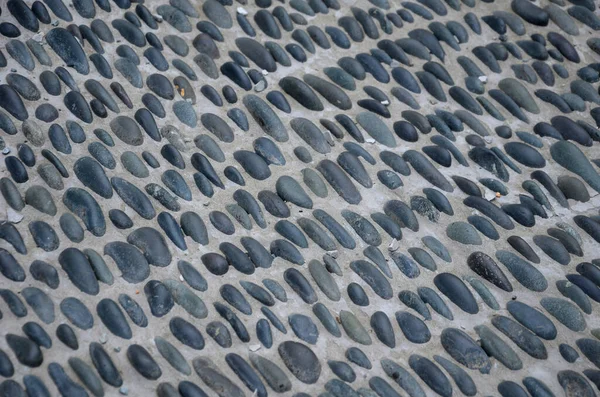 Галька Застрягла Цементному Клеї Він Утворює Килим Закруглених Каменів Масажні — стокове фото