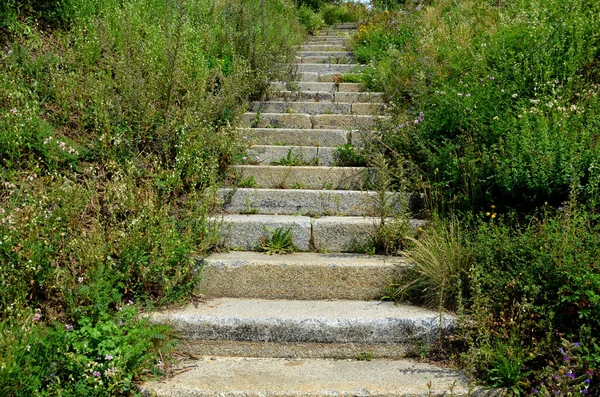 Park Slope Meadow Lawn Staircase Old Hewn Stone Curbs Climbs —  Fotos de Stock