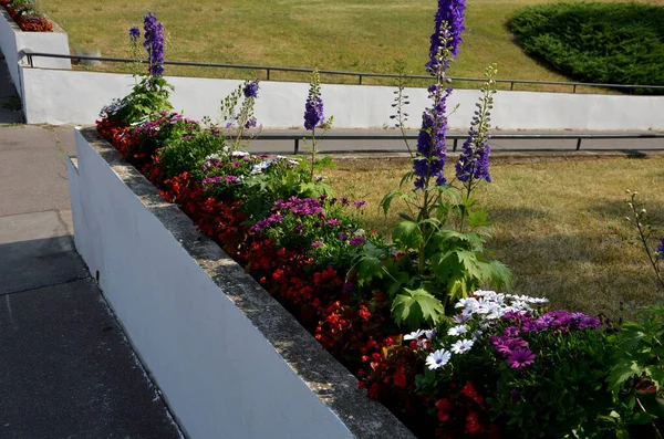 Elongated White Brick Flower Pots Part Retaining Wall Flower Plantings — Stockfoto