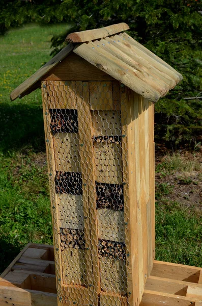 flowering meadow is sown between the parking lot and the road. near the region there is a wooden house as accommodation and laying insects. sticks and woods with holes for laying insect eggs.