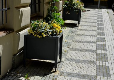 flower pots in front of the entrance to the building in historical style. gray metal with legs. pavement of marble mosaics. yellow plaster of the hotel building