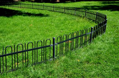 a circle fence made of metal black bars is low and formal in the historical park widely encircling the protected tree from the entry of people and dogs that urinate on the bark and damage it.