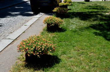 flower pot for road side palisades.gravel mulch gray,  filled with soil substrate. annuals matched in color with the orange facade of the house. 