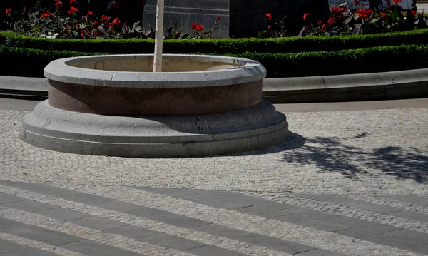 trimmed hedges, bushes in geometric round shapes of fantastic circles and intertwined loops on a large area of a park bed in the city on the promenade. in between are perennials and bulbs.