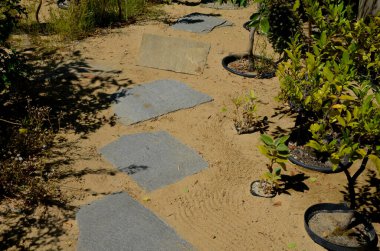 slate surface stones stacked in a row into the sand. a path through the park between bushes in a succulent and desert oasis. tourist hotel gardens for visitors subtropical flora in the botanical park