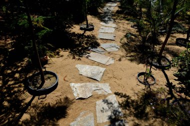 slate surface stones stacked in a row into the sand. a path through the park between bushes in a succulent and desert oasis. tourist hotel gardens for visitors subtropical flora in the botanical park