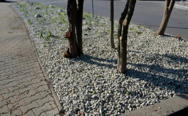 ornamental flowerbed with perennials and stones made of gray granite, mulched pebbles in the city garden, prairie, ornamental grass, terrace by the pool mulching pebbles