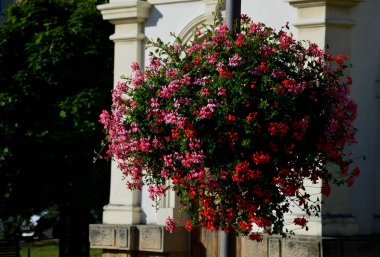 Plastikten yapılmış dekoratif saksıları olan sütunlar. Sepet şeklinde çiçekler asmak, çelenk. Sokak lambalarını ve otoparkları süslüyor.