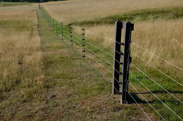 fencing with barrier-free access for seniors and the immobile. safari zoo with a large paddock for large dangerous mammals of Przewalski's horse. electric fence, tension spring, sheeps, meadow, alley