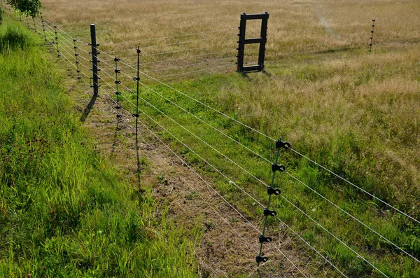 fencing with barrier-free access for seniors and the immobile. safari zoo with a large paddock for large dangerous mammals of Przewalski\'s horse. electric fence, tension spring, sheeps, meadow, alley