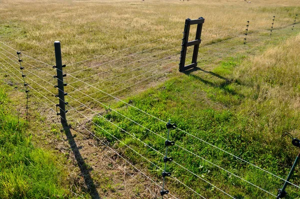 fencing with barrier-free access for seniors and the immobile. safari zoo with a large paddock for large dangerous mammals of Przewalski\'s horse. electric fence, tension spring, sheeps, meadow, alley