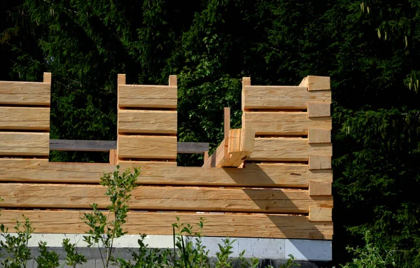 a carpenter built a log cabin with rough hewn beams. wood planing was not done before. authentic craftsmanship wooden log cabin. mortises for placing roof beams. gouging wood, ax, cut, pull strap