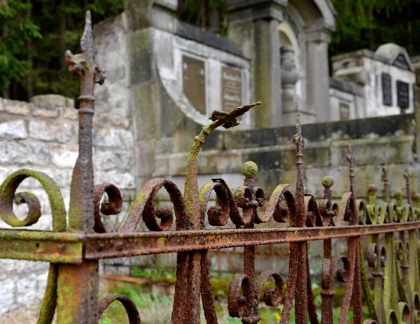 Renovation Damaged Broken Stolen Tombstones Pre War Runic Letters Names — Stock Photo, Image