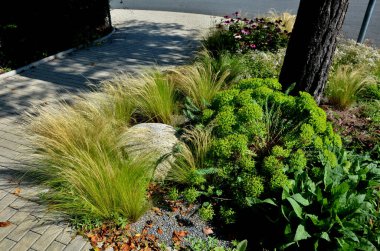 ornamental flowerbed with perennials and stones made of gray granite, mulched pebbles in the city garden, prairie, ornamental grass, terrace by the pool mulching pebbles