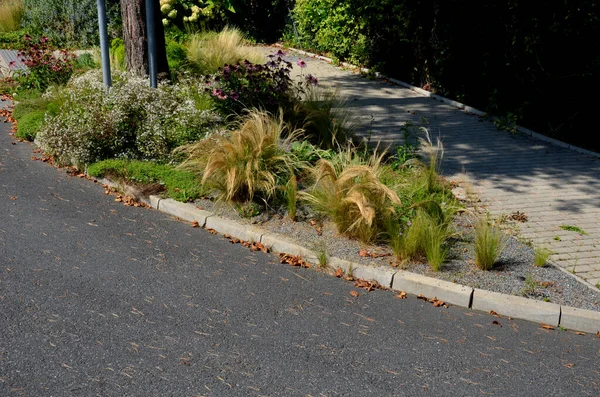 Süslü çiçek tarhı. Gri granitten yapılmış taşlar, şehir bahçesinde saman taşları, çayırlar, süs otları, havuzun kenarında çimenlik çakıl taşları.