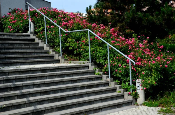 Banc Parc Béton Monolithique Gris Béton Forme Pierres Rondes Banc — Photo