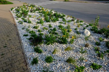 Süslü çiçek tarhı. Gri granitten yapılmış taşlar, şehir bahçesinde saman taşları, çayırlar, süs otları, havuzun kenarında çimenlik çakıl taşları.