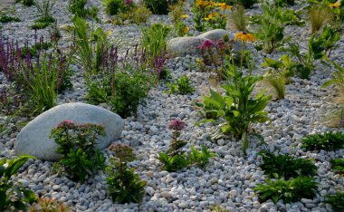 Süslü çiçek tarhı. Gri granitten yapılmış taşlar, şehir bahçesinde saman taşları, çayırlar, süs otları, havuzun kenarında çimenlik çakıl taşları.
