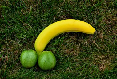disease is a condition where scar tissue causes the penis to curve or lose length or girth. In some cases, it can cause pain and prevent the man from having sex.