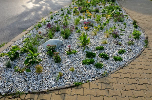 Ornamental Flowerbed Perennials Stones Made Gray Granite Mulched Pebbles City — стоковое фото