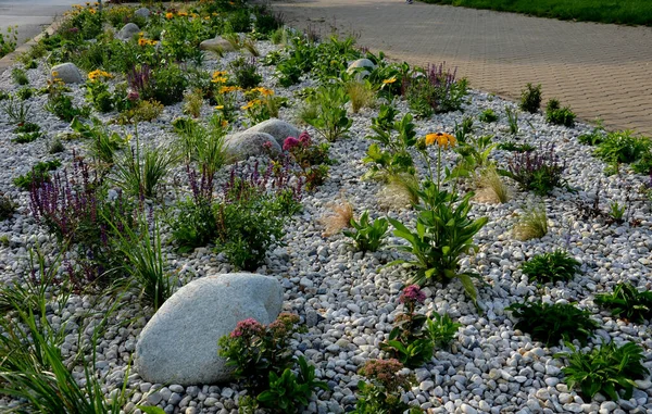Ornamental Flowerbed Perennials Stones Made Gray Granite Mulched Pebbles City — Fotografia de Stock